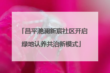 昌平滟澜新宸社区开启绿地认养共治新模式