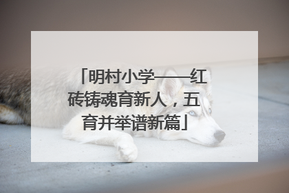 明村小学——红砖铸魂育新人，五育并举谱新篇