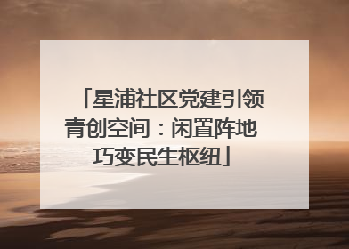 星浦社区党建引领青创空间：闲置阵地巧变民生枢纽