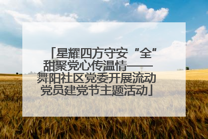 星耀四方守安“全” 甜聚党心传温情——舞阳社区党委开展流动党员建党节主题活动