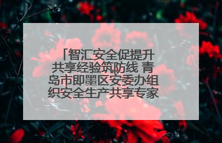 智汇安全促提升 共享经验筑防线 青岛市即墨区安委办组织安全生产共享专家现场观摩学习活动
