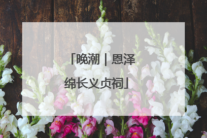 晚潮｜恩泽绵长义贞祠