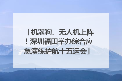 机器狗、无人机上阵！深圳福田举办综合应急演练护航十五运会