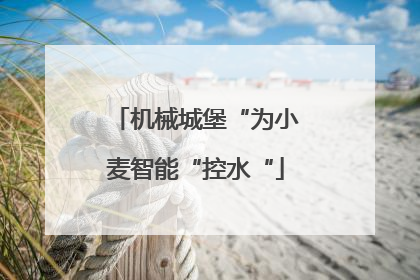 机械城堡“为小麦智能“控水“