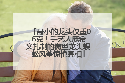 最小的龙头仅重0.6克！手艺人庞希文扎制的微型龙头蜈蚣风筝惊艳亮相
