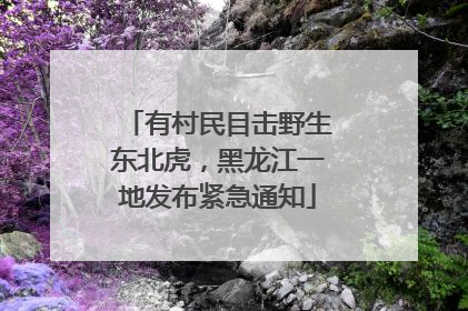 有村民目击野生东北虎，黑龙江一地发布紧急通知