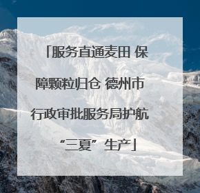 服务直通麦田 保障颗粒归仓 德州市行政审批服务局护航“三夏”生产