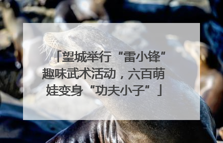 望城举行“雷小锋”趣味武术活动，六百萌娃变身“功夫小子”
