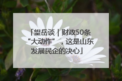 望岳谈｜财政50条“大动作”，这是山东发展民企的决心