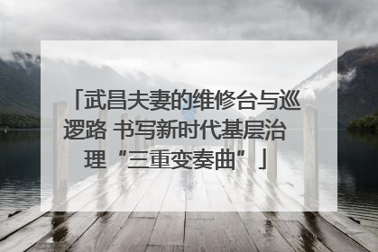 武昌夫妻的维修台与巡逻路 书写新时代基层治理“三重变奏曲”