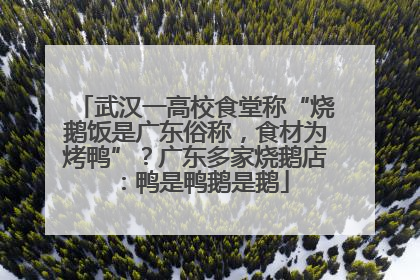 武汉一高校食堂称“烧鹅饭是广东俗称，食材为烤鸭”？广东多家烧鹅店：鸭是鸭鹅是鹅
