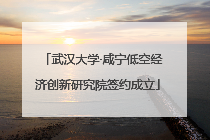 武汉大学·咸宁低空经济创新研究院签约成立