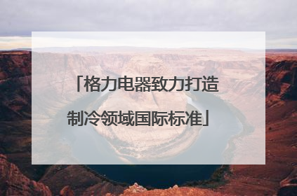 格力电器致力打造制冷领域国际标准