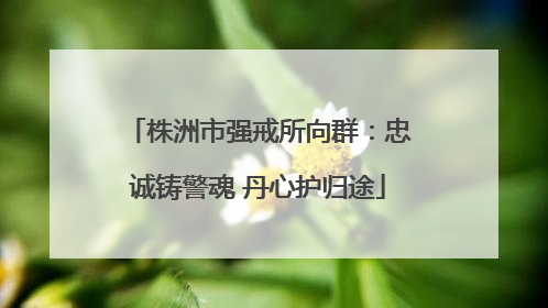 株洲市强戒所向群：忠诚铸警魂 丹心护归途