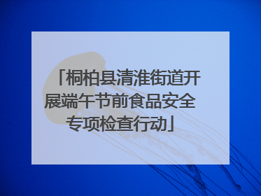 桐柏县清淮街道开展端午节前食品安全专项检查行动