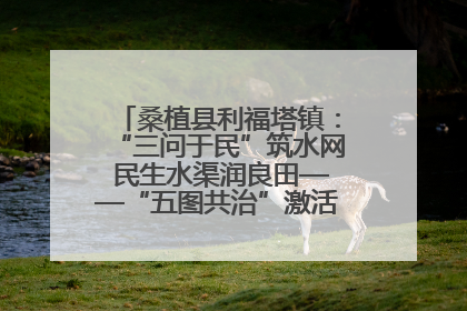 桑植县利福塔镇：“三问于民”筑水网 民生水渠润良田——“五图共治”激活基层治理新动能
