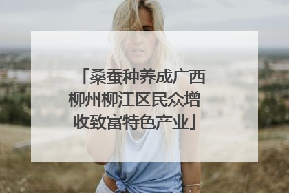 桑蚕种养成广西柳州柳江区民众增收致富特色产业