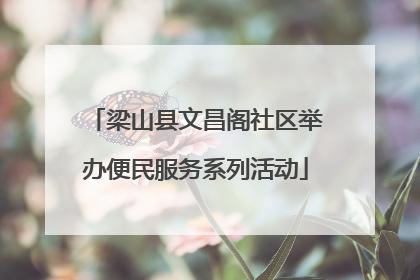 梁山县文昌阁社区举办便民服务系列活动