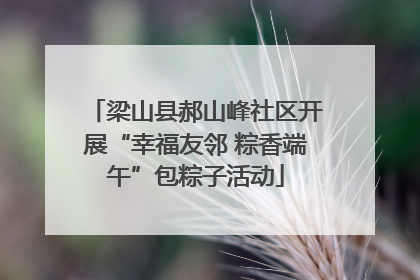 梁山县郝山峰社区开展“幸福友邻 粽香端午”包粽子活动
