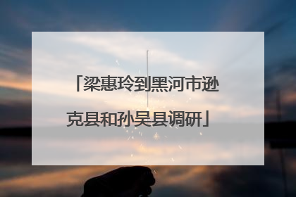 梁惠玲到黑河市逊克县和孙吴县调研