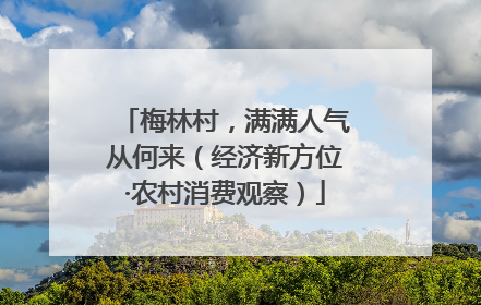 梅林村，满满人气从何来（经济新方位·农村消费观察）