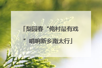 梨园春“俺村最有戏”唱响新乡南太行