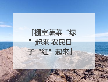 棚室蔬菜“绿”起来 农民日子“红”起来