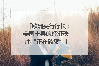 欧洲央行行长：美国主导的经济秩序“正在破裂”