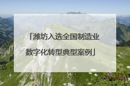 潍坊入选全国制造业数字化转型典型案例