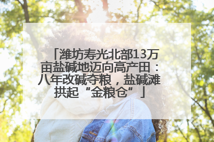 潍坊寿光北部13万亩盐碱地迈向高产田：八年改碱夺粮，盐碱滩拱起“金粮仓”