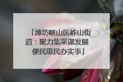 潍坊峡山区岞山街道：聚力集采谋发展 便民惠民办实事