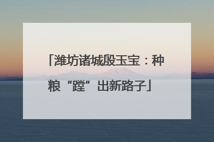 潍坊诸城殷玉宝：种粮“蹚”出新路子