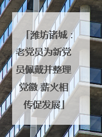 潍坊诸城：老党员为新党员佩戴并整理党徽 薪火相传促发展