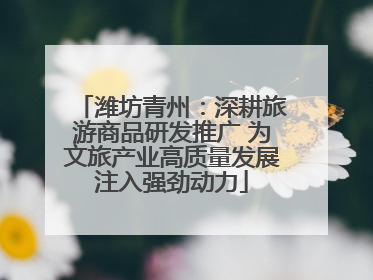 潍坊青州：深耕旅游商品研发推广 为文旅产业高质量发展注入强劲动力
