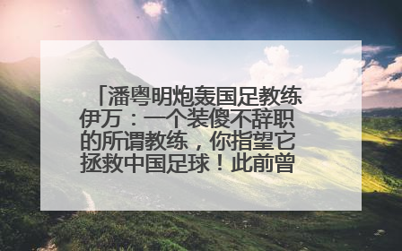 潘粤明炮轰国足教练伊万：一个装傻不辞职的所谓教练，你指望它拯救中国足球！此前曾多次发文评价国足