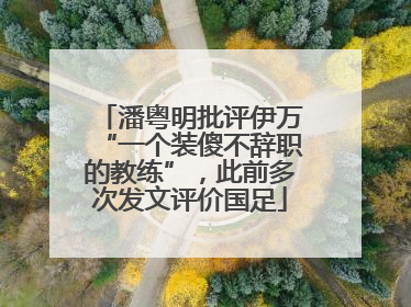 潘粤明批评伊万“一个装傻不辞职的教练”，此前多次发文评价国足