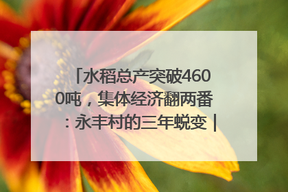 水稻总产突破4600吨，集体经济翻两番：永丰村的三年蜕变｜您牵挂的四川