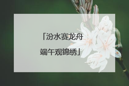 汾水赛龙舟 端午观锦绣