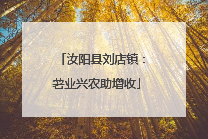 汝阳县刘店镇：薯业兴农助增收