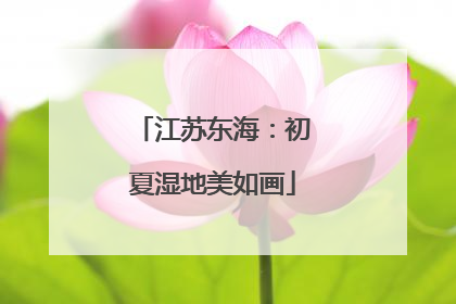江苏东海：初夏湿地美如画