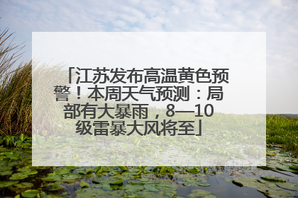 江苏发布高温黄色预警！本周天气预测：局部有大暴雨，8—10级雷暴大风将至