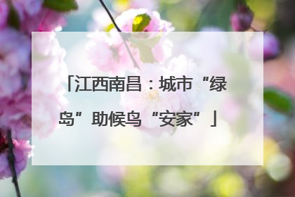 江西南昌：城市“绿岛”助候鸟“安家”