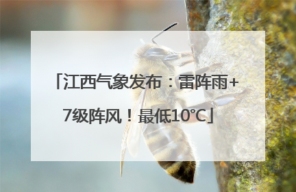 江西气象发布：雷阵雨+7级阵风！最低10℃