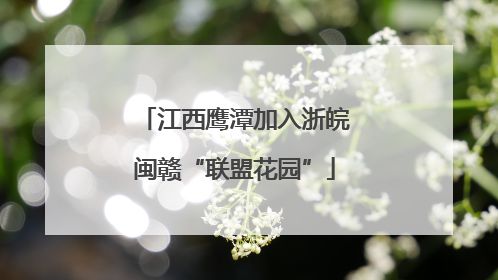 江西鹰潭加入浙皖闽赣“联盟花园”