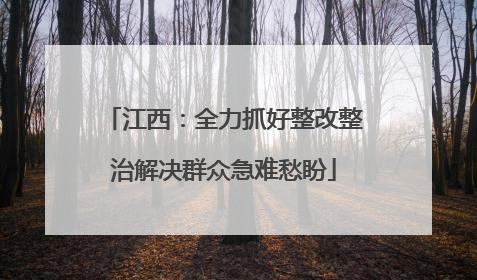 江西：全力抓好整改整治解决群众急难愁盼