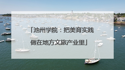 池州学院：把美育实践做在地方文旅产业里