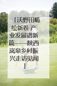 沃野田畴绘新卷 产业发展谱新篇——陕西岚皋乡村振兴走访见闻