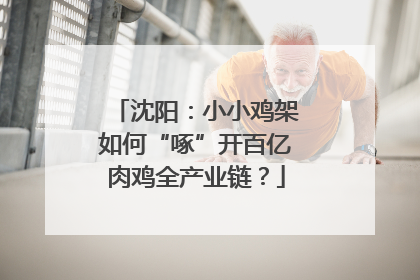 沈阳：小小鸡架如何“啄”开百亿肉鸡全产业链？