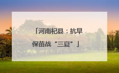 河南杞县：抗旱保苗战“三夏”