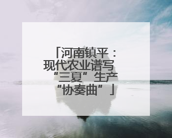 河南镇平：现代农业谱写“三夏”生产“协奏曲”